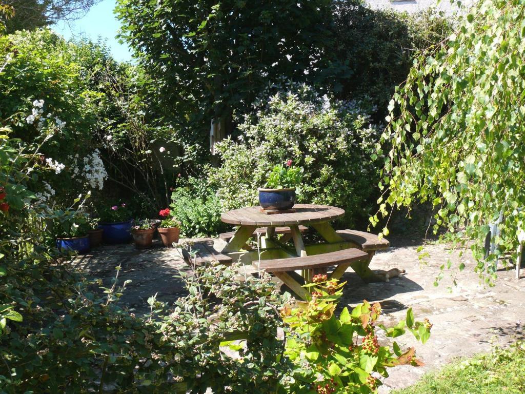 Bed & Breakfast Cormorant House