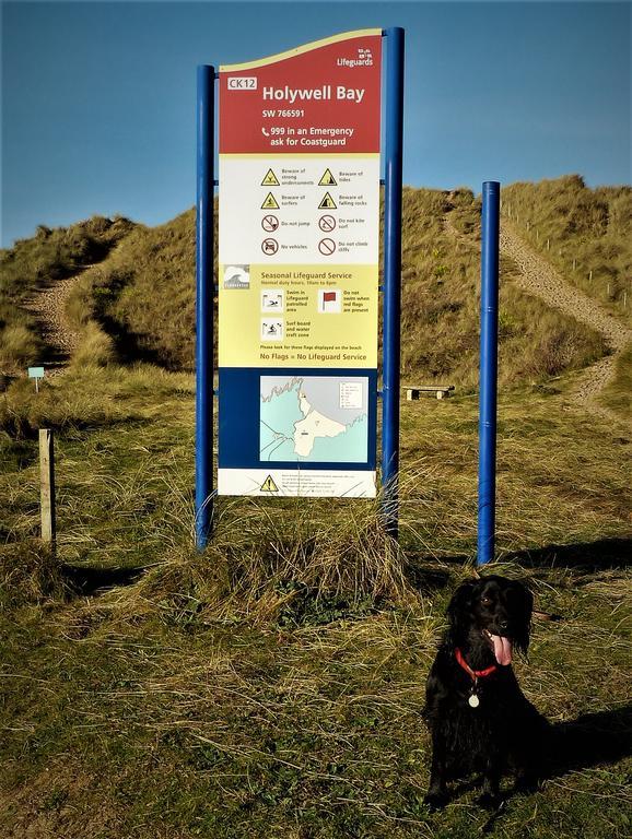 Cormorant House